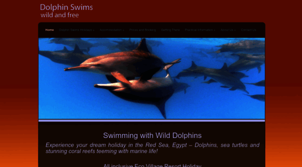 dolphinswims.co.uk