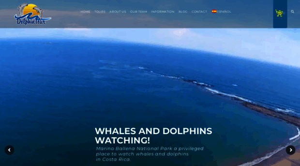 dolphintourcostarica.com