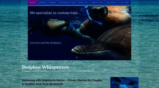 dolphinwhisperer.org