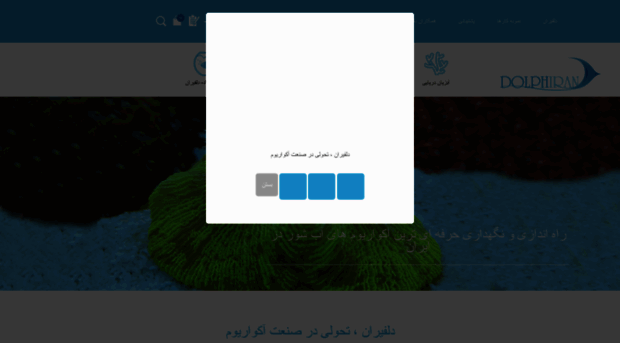 dolphiran.ir
