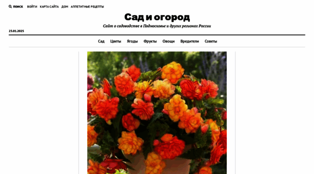 dom-teplitsa.ru