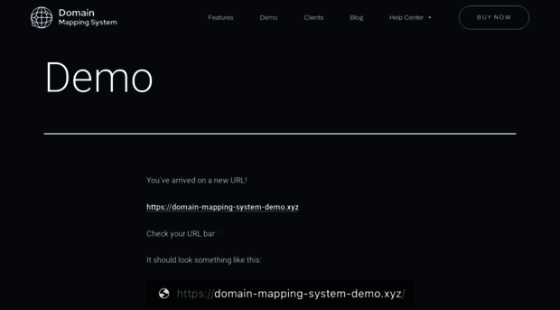 domain-mapping-system-demo.xyz