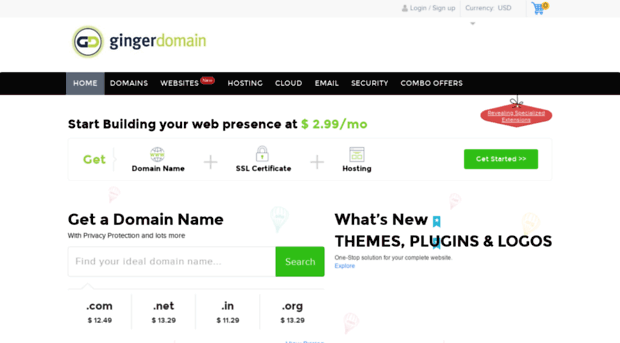 domain.gingerdomain.com