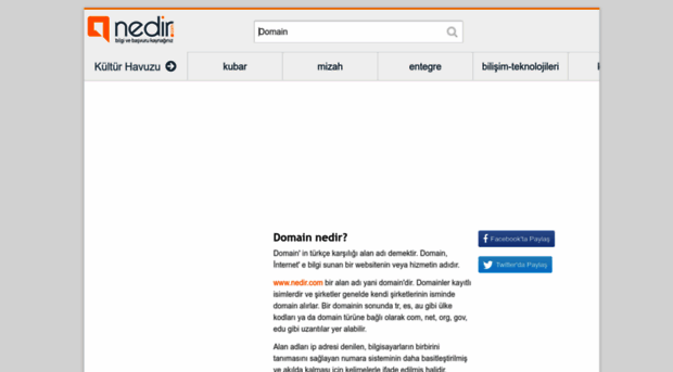 domain.nedir.com