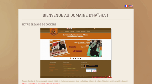 domainehaisha.com