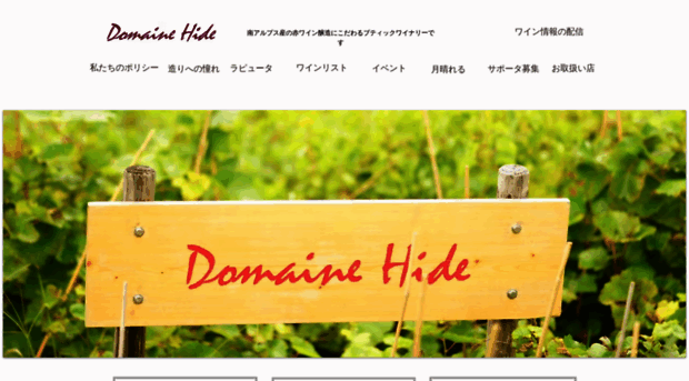 domainehide.com