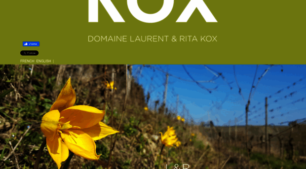 domainekox.lu