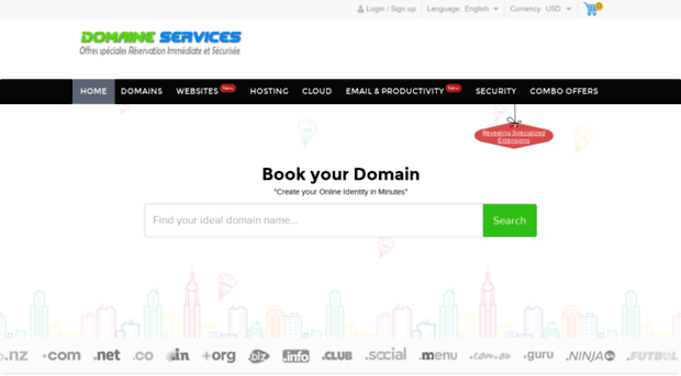 domaineservices.com