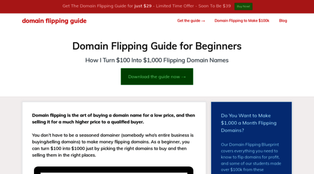 domainflippingguide.org