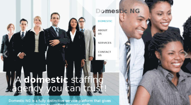 domestic.com.ng