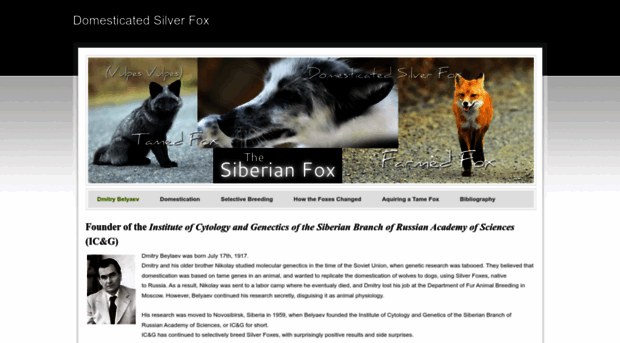 domesticatedsilverfox.weebly.com