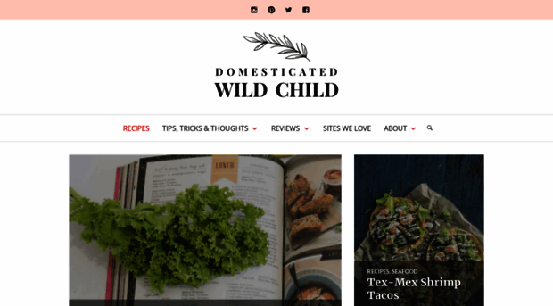 domesticatedwildchild.com