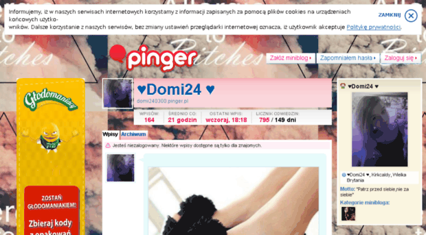 domi240300.pinger.pl