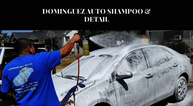 dominguezautoshampoo.com