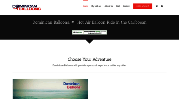 dominicanballoons.com