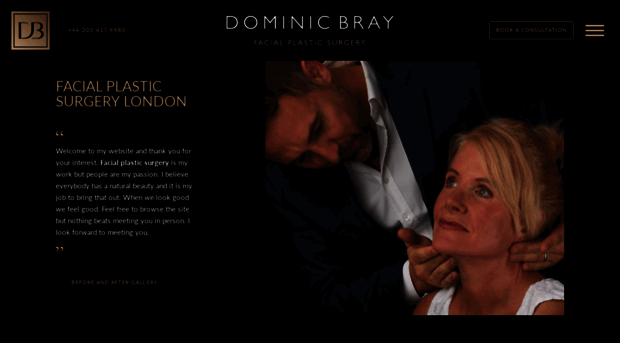 dominicbray.com