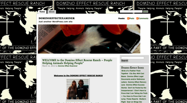 dominoeffectexaminer.wordpress.com