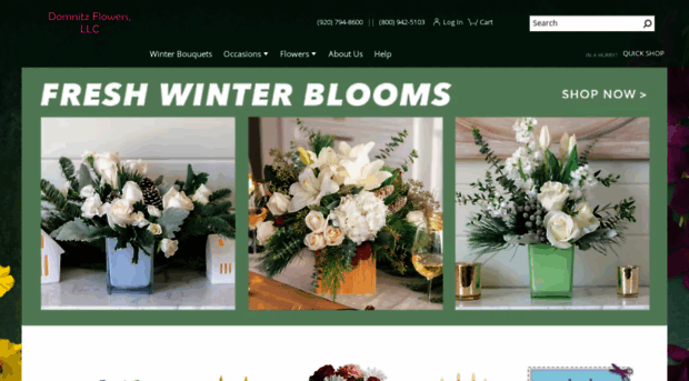 domnitzflowers.com