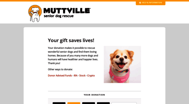 donate.muttville.org