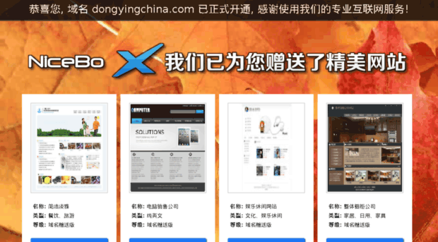 dongyingchina.com