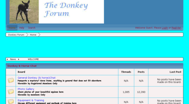 donkeyforum.co.uk