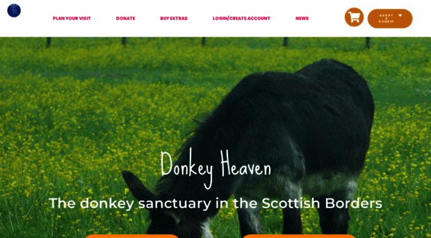 donkeyheaven.org