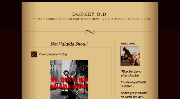 donkeyod.wordpress.com