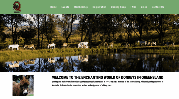 donkeysocietyqld.org
