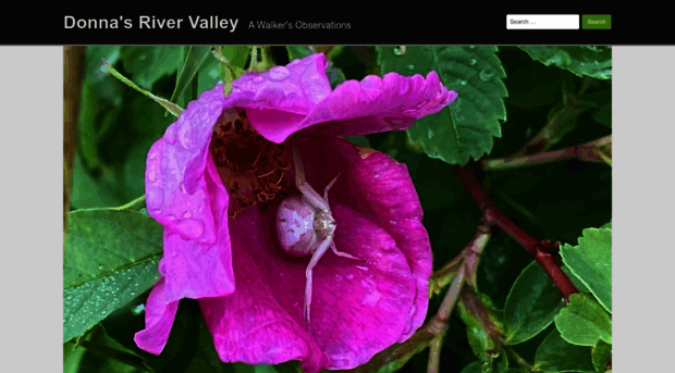 donnasrivervalley.com
