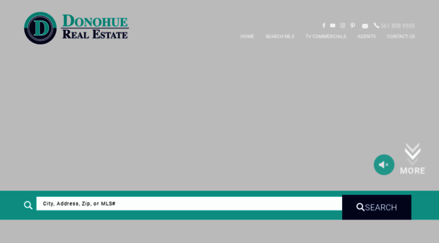 donohuerealestate.com