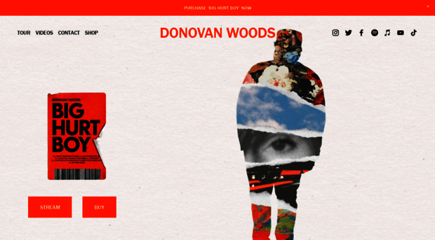 donovanwoods.net