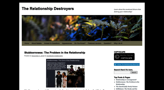 dontdestroyrelationship.com