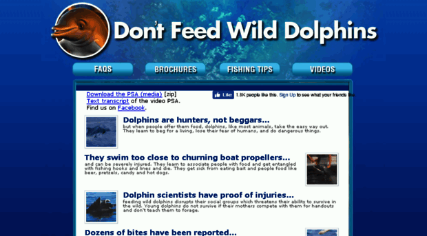 dontfeedwilddolphins.org