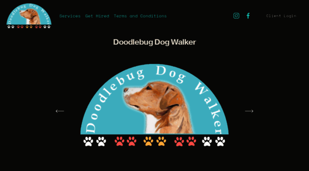 doodlebugdogwalker.com