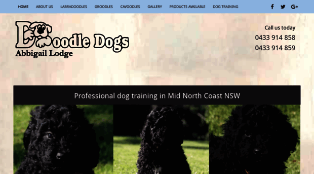 doodledogs.com.au