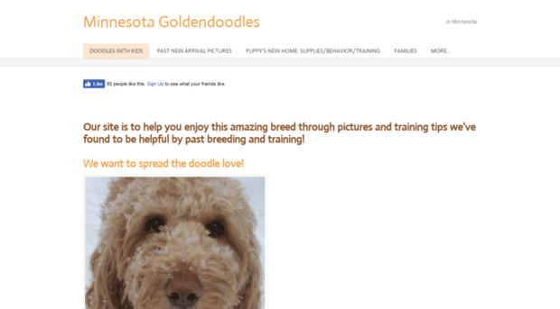 doodlepuppies.weebly.com