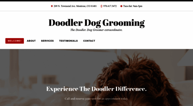 doodlerdoggrooming.com