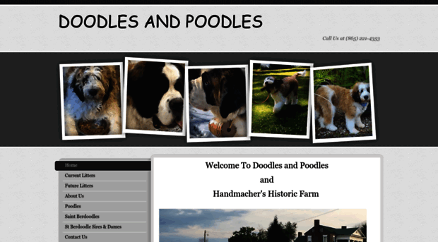 doodlesandpoodles.com