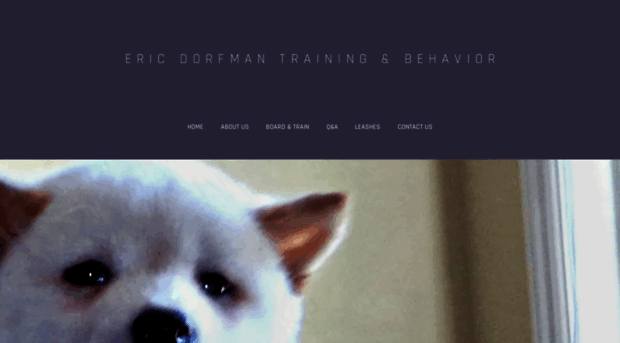 dorfmancanine.com