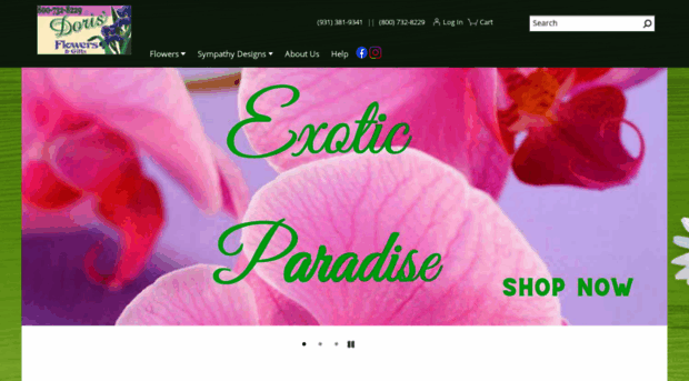 dorisflowersandgifts.com