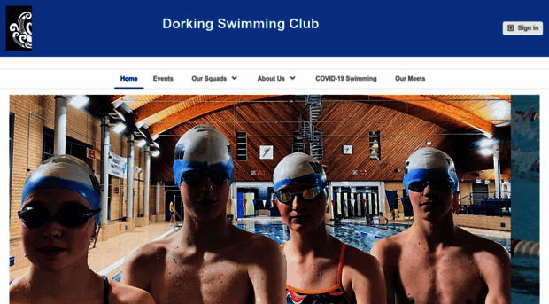 dorkingsc.com