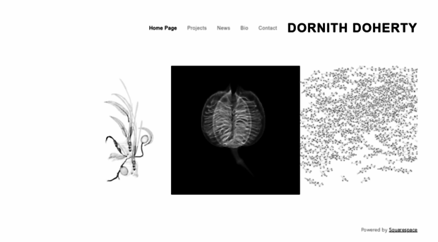 dornithdoherty.com