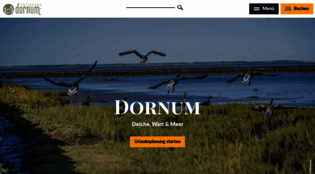 dornum.de