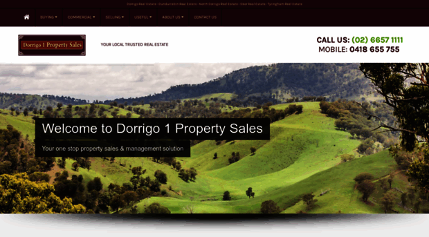 dorrigo1.com