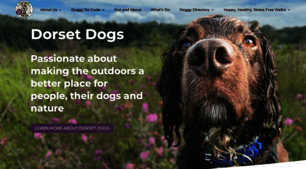 dorsetdogs.org.uk