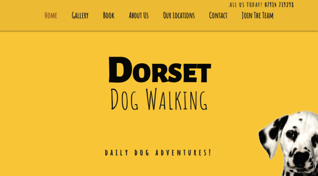 dorsetdogwalking.co.uk