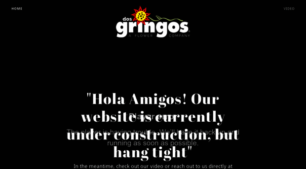 dosgringos.net