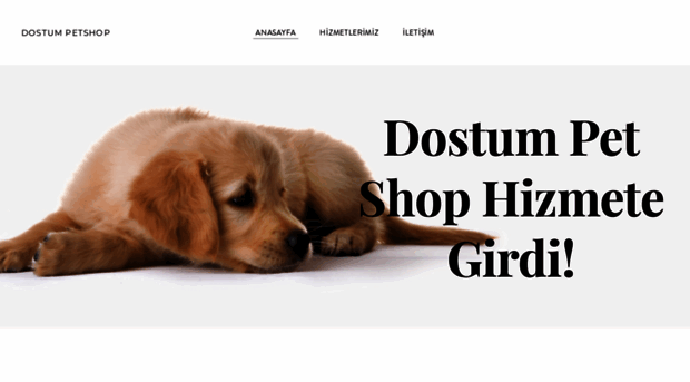 dostumpetshop.weebly.com