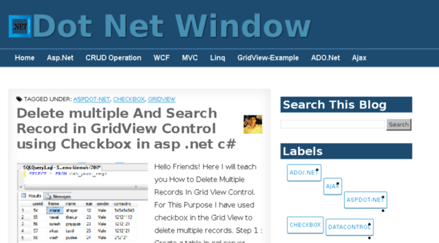 dotnetwindow.com