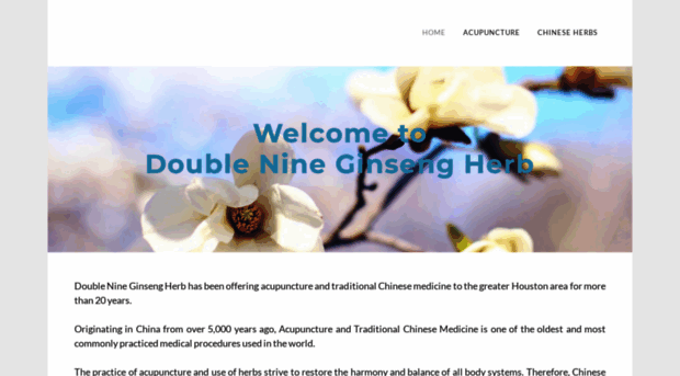 double-nine.com